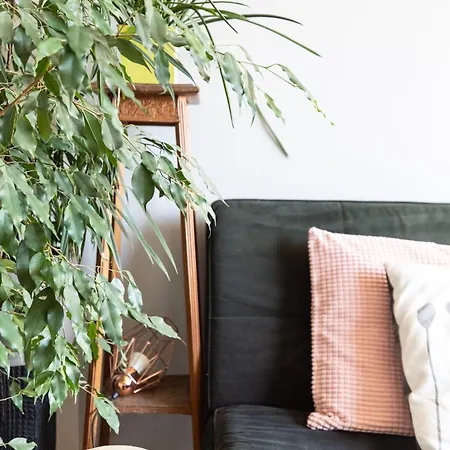 Horizon Feng Shui - Jardin, Terrasse Et Vue Ceyrat