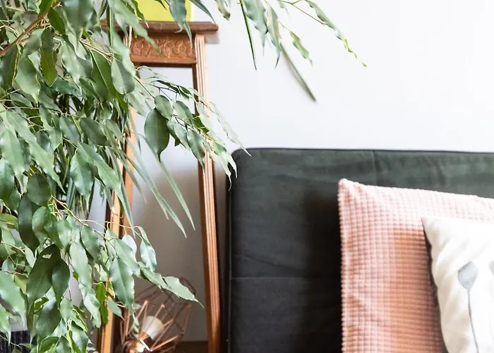 Horizon Feng Shui - Jardin, Terrasse Et Vue Ceyrat